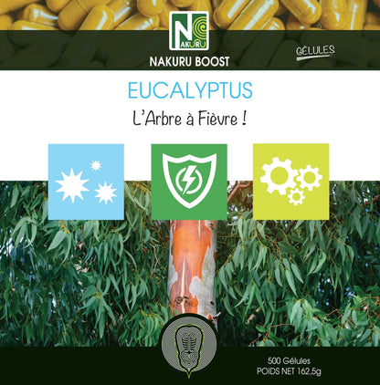 Eucalyptus | 500 Gélules | Gamme Boost | Fabriqué en France | "L'Arbre à Fièvre !"