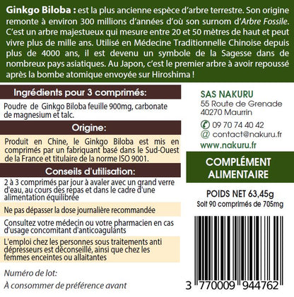 Ginkgo Biloba | 90 Comprimés | Gamme Boost | Fabriqué en France | "L'Arbre Fossile!"