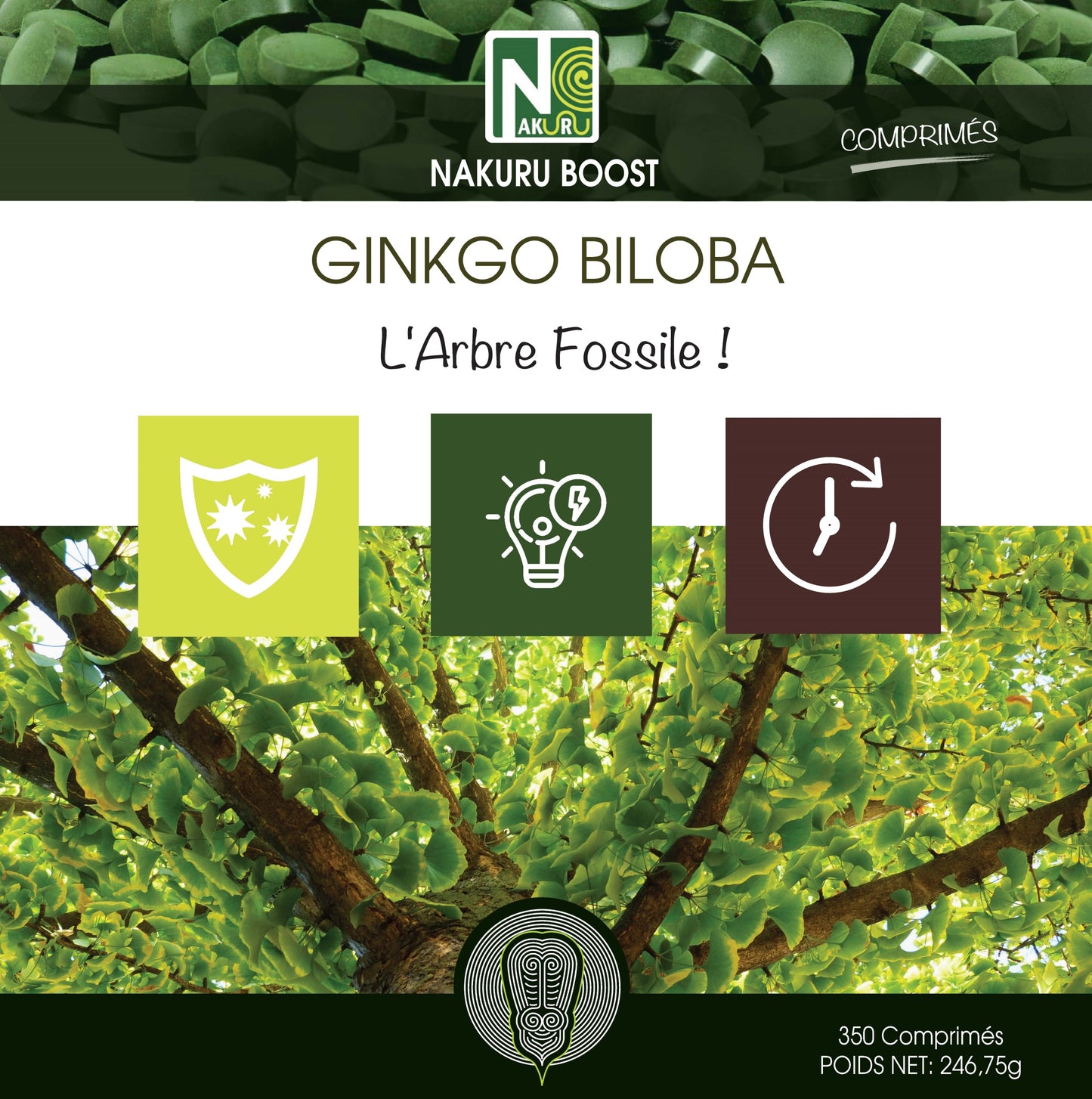 Ginkgo Biloba | 350 Comprimés | Gamme Boost | Fabriqué en France | "L'Arbre Fossile!"