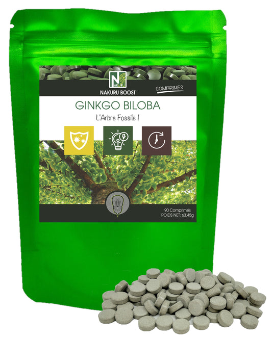 Ginkgo Biloba | 90 Comprimés | Gamme Boost | Fabriqué en France | "L'Arbre Fossile!"