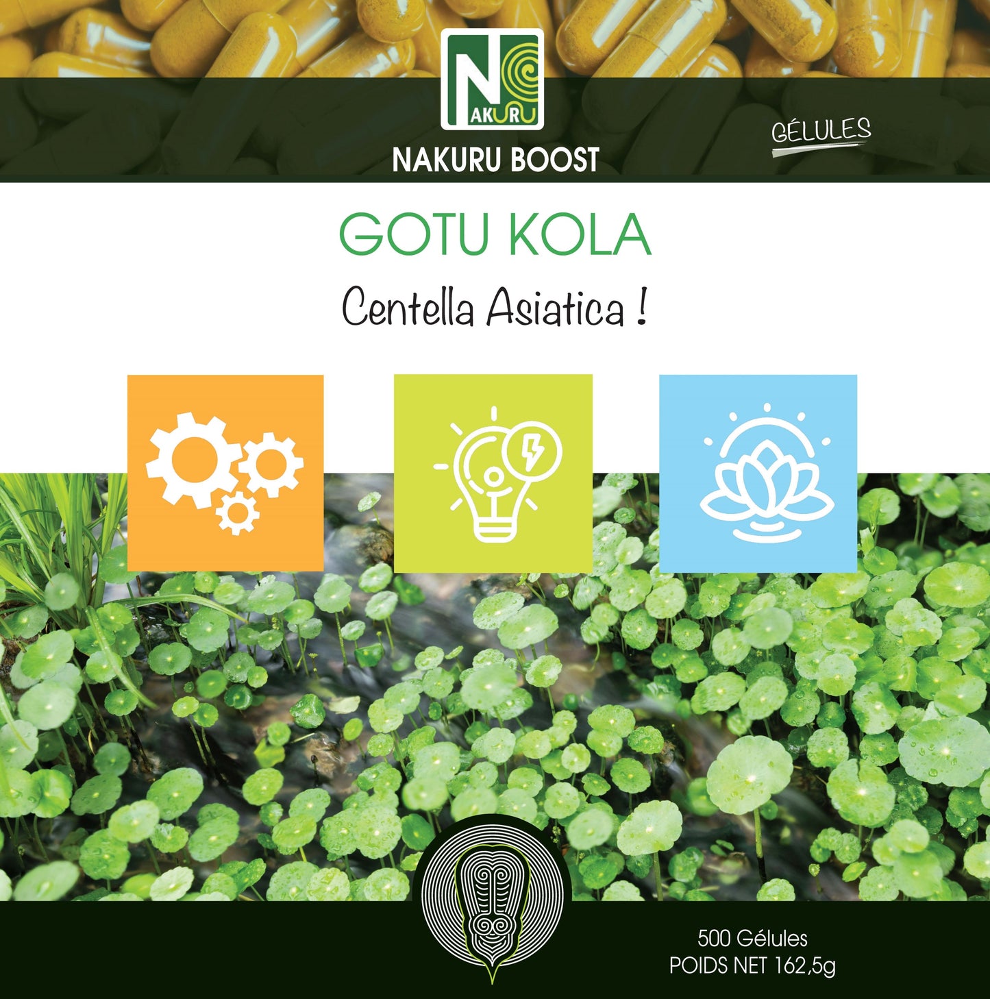 Gotu Kola | 500 Gélules | Gamme Boost | Fabriqué en France | "Centella Asiatica !"
