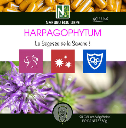 Harpagophytum | 90 Gélules Végétales | Gamme Equilibre | Fabriqué en France | "La Sagesse de la Savane!