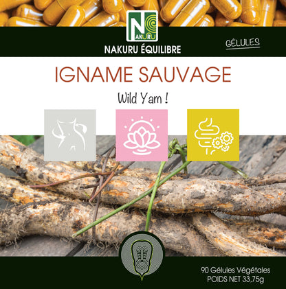 Igname Sauvage | 90 Gélules Végétales | Gamme Équilibre | Fabriqué en France | "Wild Yam !"