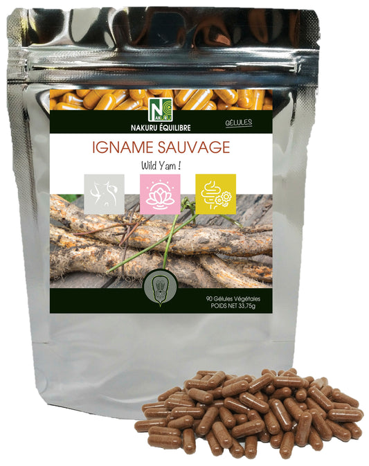 Igname Sauvage | 90 Gélules Végétales | Gamme Équilibre | Fabriqué en France | "Wild Yam !"