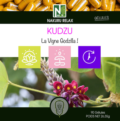 Kudzu | 90 Gélules | Gamme Relax | Fabriqué en France | "La Vigne Godzilla !"