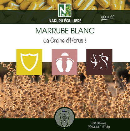 Marrube Blanc | 500 Gélules | Gamme Équilibre | Fabriqué en France | "La Graine d'Horus !"