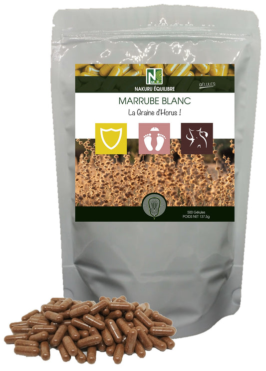 Marrube Blanc | 500 Gélules | Gamme Équilibre | Fabriqué en France | "La Graine d'Horus !"