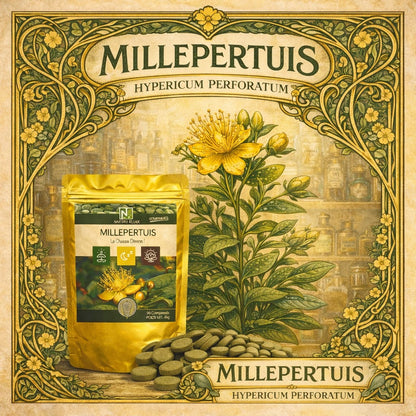 Millepertuis | 500 Comprimés | Gamme Relax | Fabriqué en France | "Le Chasse Démon!"