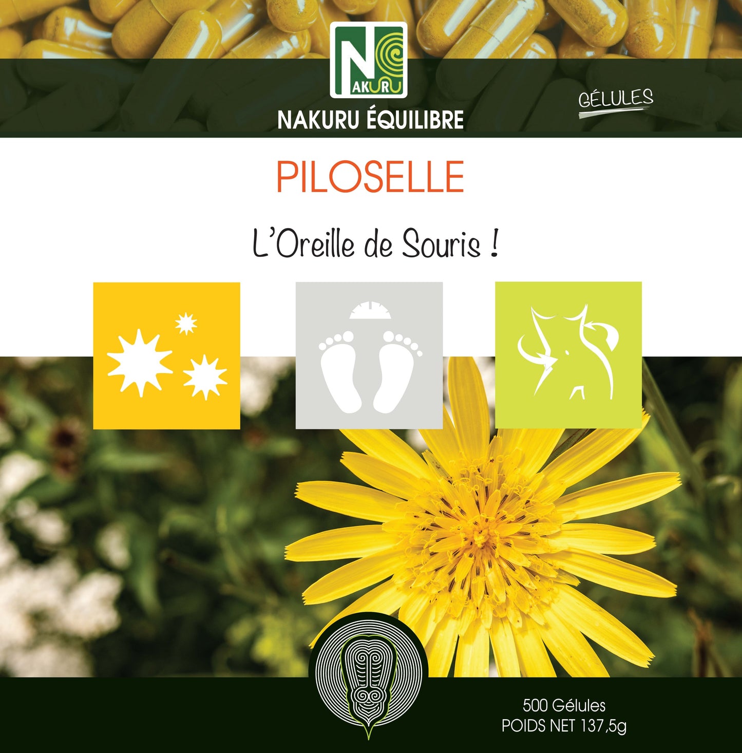 Piloselle | 500 Gélules | Gamme Équilibre | Fabriqué en France | "L'Oreille de Souris !"