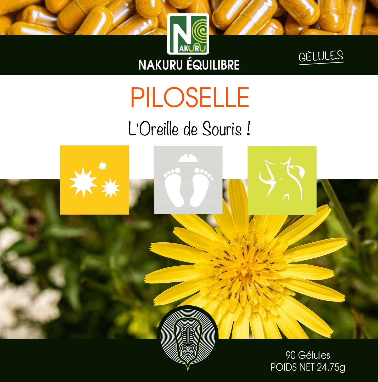 Piloselle | 90 Gélules | Gamme Équilibre | Fabriqué en France | "L'Oreille de Souris !"