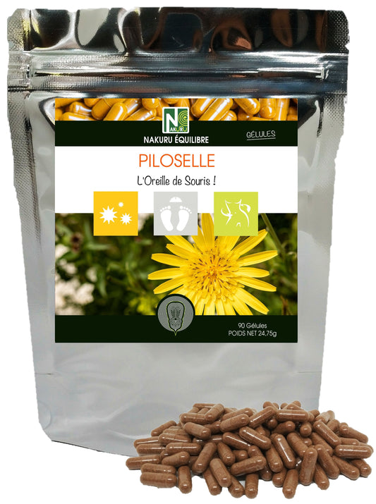 Piloselle | 90 Gélules | Gamme Équilibre | Fabriqué en France | "L'Oreille de Souris !"