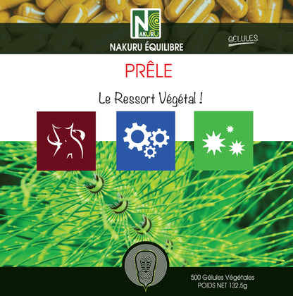 Prêle | 500 Gélules Végétales | Gamme Équilibre | Fabriqué en France | "Le Ressort Végétal!"