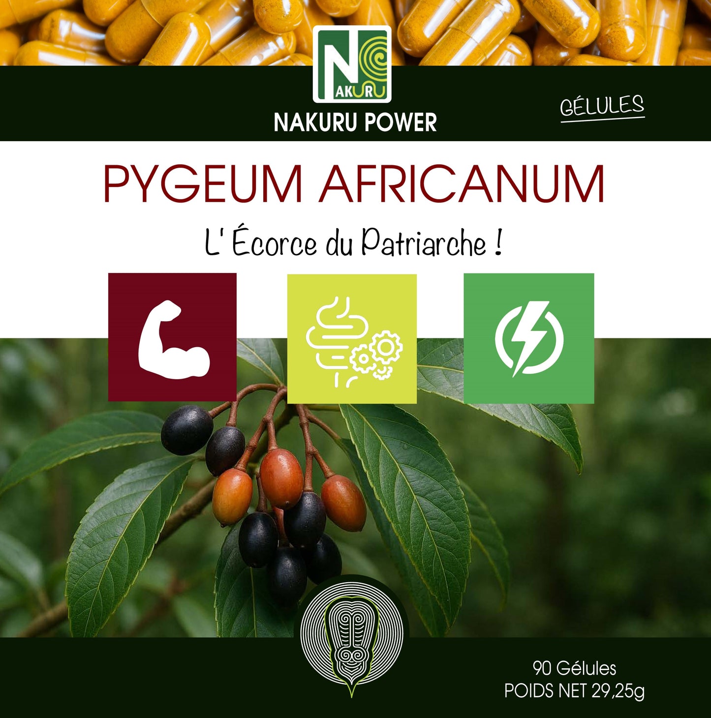 Pygeum Africanum | 90 Gélules | Gamme Power | Fabriqué en France | "L' Écorce du Patriarche !"