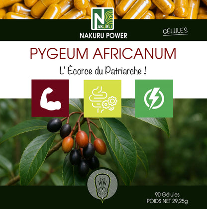 Pygeum Africanum | 90 Gélules | Gamme Power | Fabriqué en France | "L' Écorce du Patriarche !"