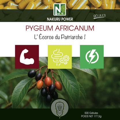 Pygeum Africanum | 500 Gélules | Gamme Power | Fabriqué en France | "L' Écorce du Patriarche !"