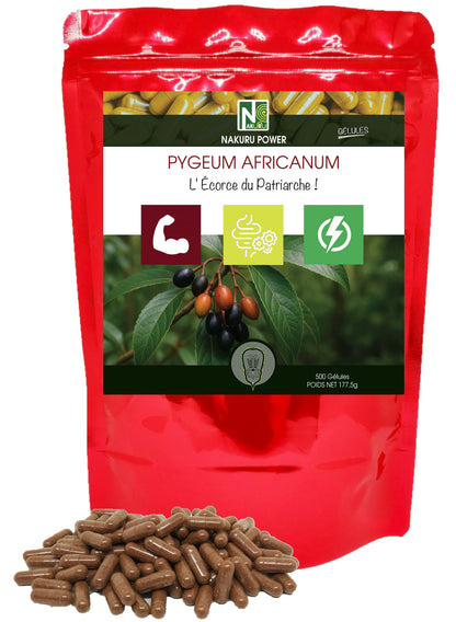Pygeum Africanum | 500 Gélules | Gamme Power | Fabriqué en France | "L' Écorce du Patriarche !"