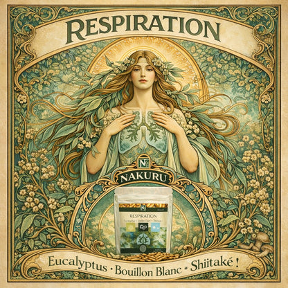 Respiration | 90 Gélules | Gamme Équilibre | Fabriqué en France | "Eucalyptus + Bouillon Blanc + Shiitaké !"