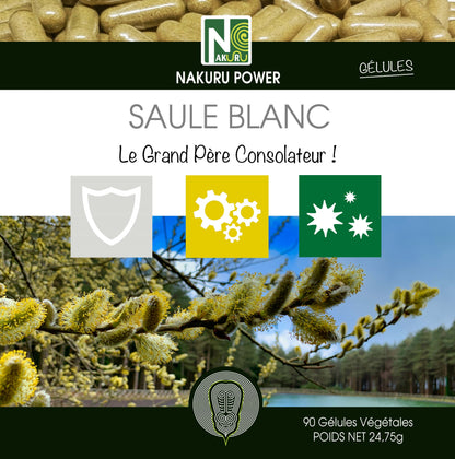 Saule Blanc | 90 Gélules Végétales| Gamme Power | Fabriqué en France | "Le Grand Père Consolateur !"