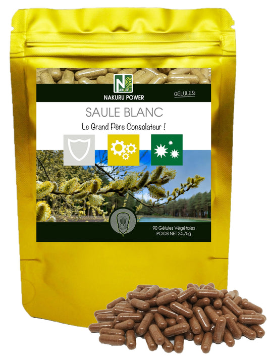 Saule Blanc | 90 Gélules Végétales| Gamme Power | Fabriqué en France | "Le Grand Père Consolateur !"