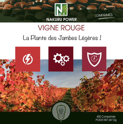 Vigne Rouge | 450 Comprimés |Gamme Power | Fabriqué en France | "La Plante des Jambes Légères!"
