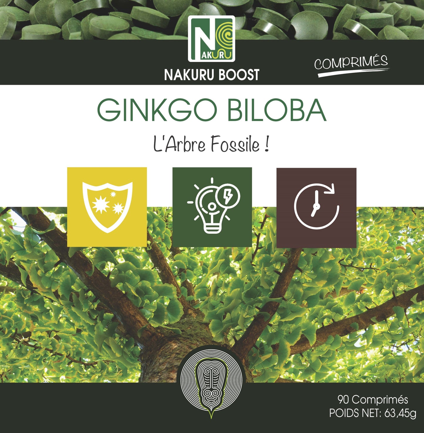 Ginkgo Biloba | 90 Comprimés | Gamme Boost | Fabriqué en France | "L'Arbre Fossile!"