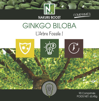 Ginkgo Biloba | 90 Comprimés | Gamme Boost | Fabriqué en France | "L'Arbre Fossile!"