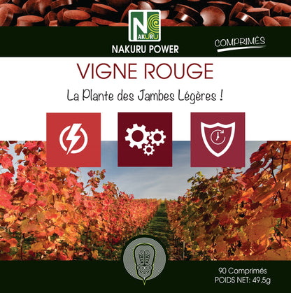 Vigne Rouge | 90 Comprimés |Gamme Power | Fabriqué en France | "La Plante des Jambes Légères!"