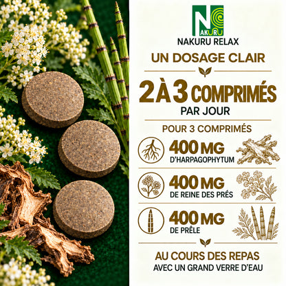 NAKURU Articulation — 500 comprimés — Dosage