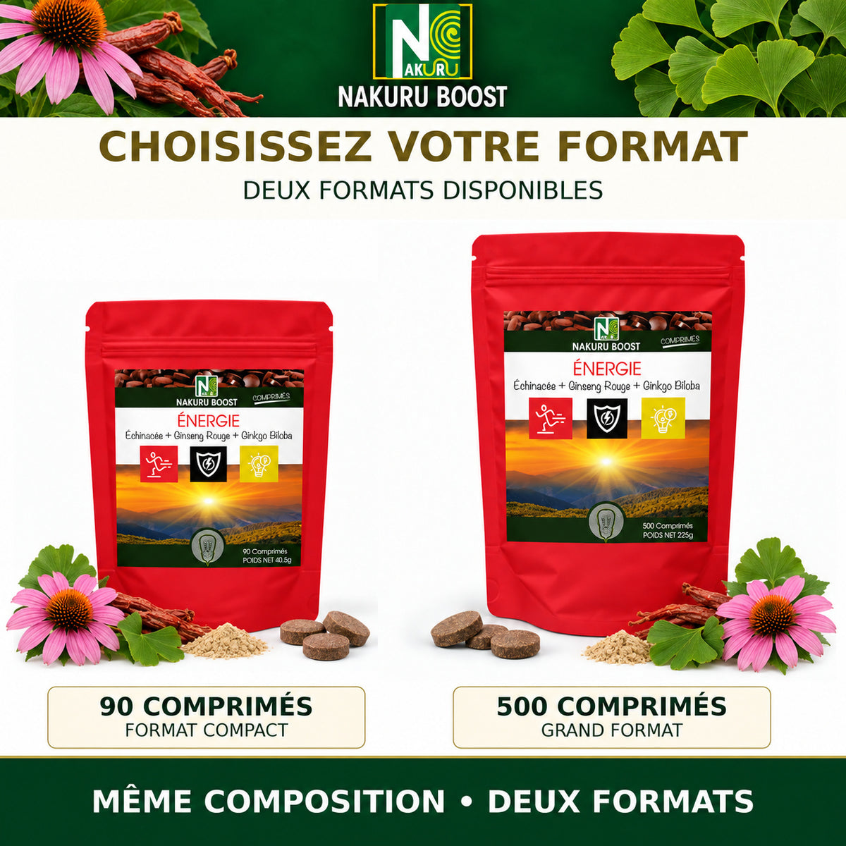 NAKURU Énergie — 500 comprimés — Comparatif des formats