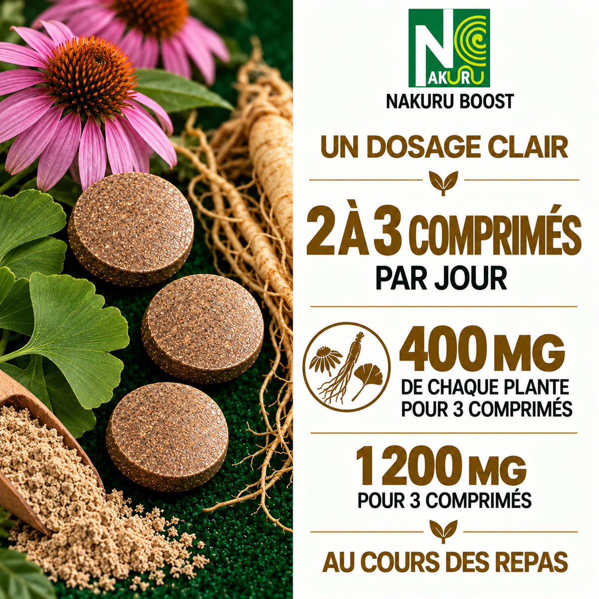 NAKURU Énergie — 500 comprimés — Dosage