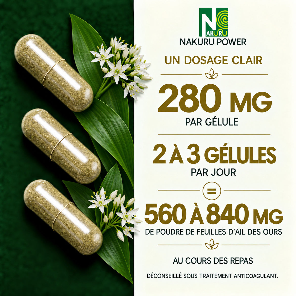 NAKURU Ail des Ours — 500 gélules — Dosage
