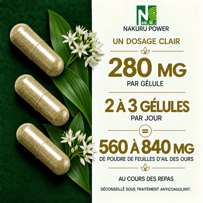 NAKURU Ail des Ours — 500 gélules — Dosage