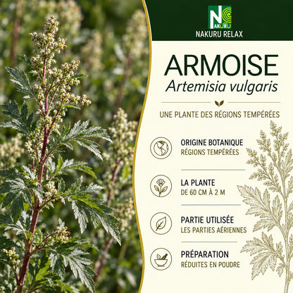 NAKURU Armoise — 500 gélules — Présentation