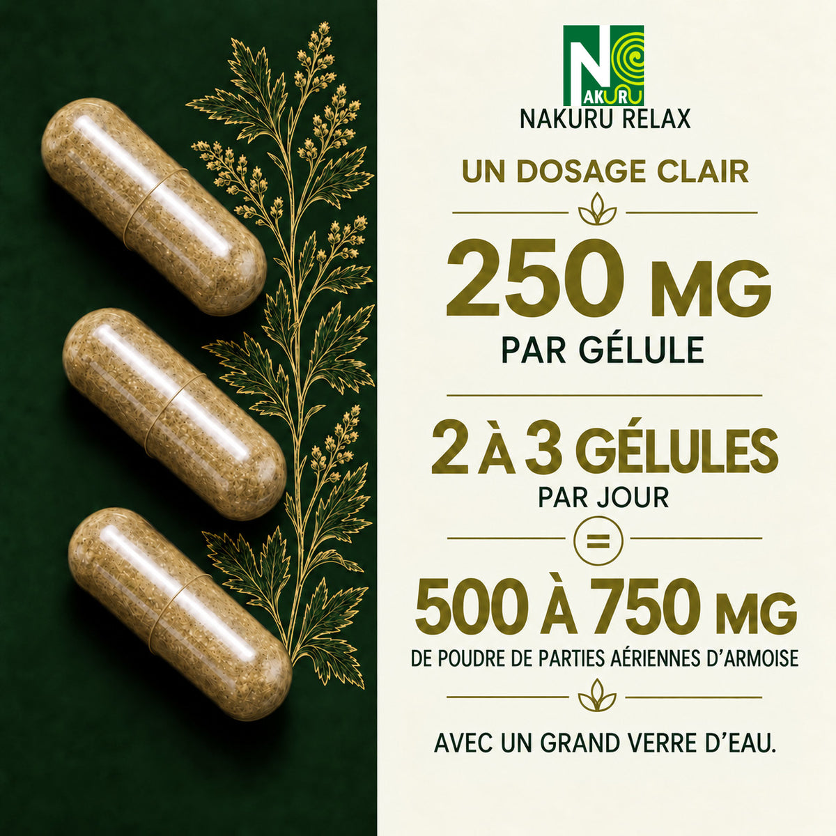 NAKURU Armoise — 500 gélules — Dosage