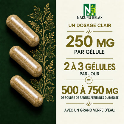 NAKURU Armoise — 500 gélules — Dosage