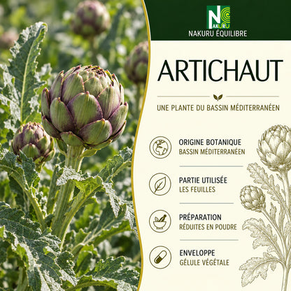 NAKURU Artichaut — 500 gélules — Présentation