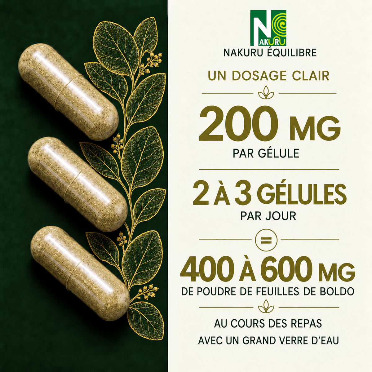 NAKURU Boldo — 500 gélules — Dosage