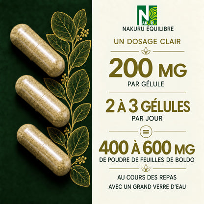 NAKURU Boldo — 500 gélules — Dosage