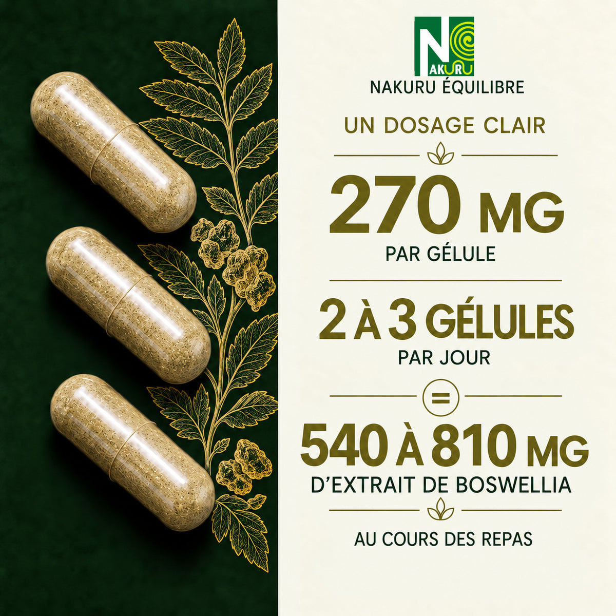 NAKURU Boswellia — 500 gélules — Dosage