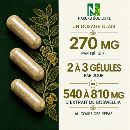 NAKURU Boswellia — 500 gélules — Dosage