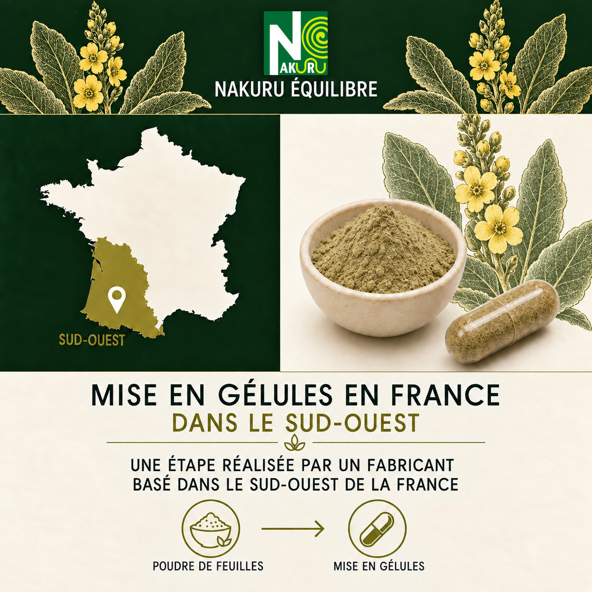 NAKURU Bouillon Blanc — 500 gélules — Fabrication