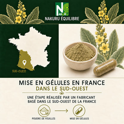 NAKURU Bouillon Blanc — 500 gélules — Fabrication