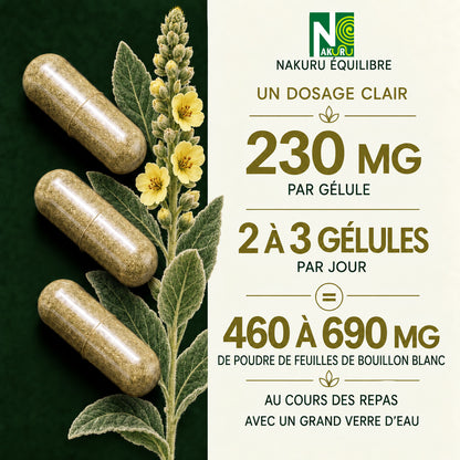 NAKURU Bouillon Blanc — 500 gélules — Dosage