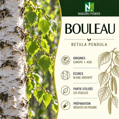 NAKURU Bouleau — 500 gélules — Présentation
