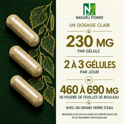 NAKURU Bouleau — 500 gélules — Dosage