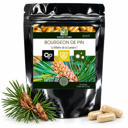 NAKURU Bourgeon de Pin — 90 gélules — Packshot