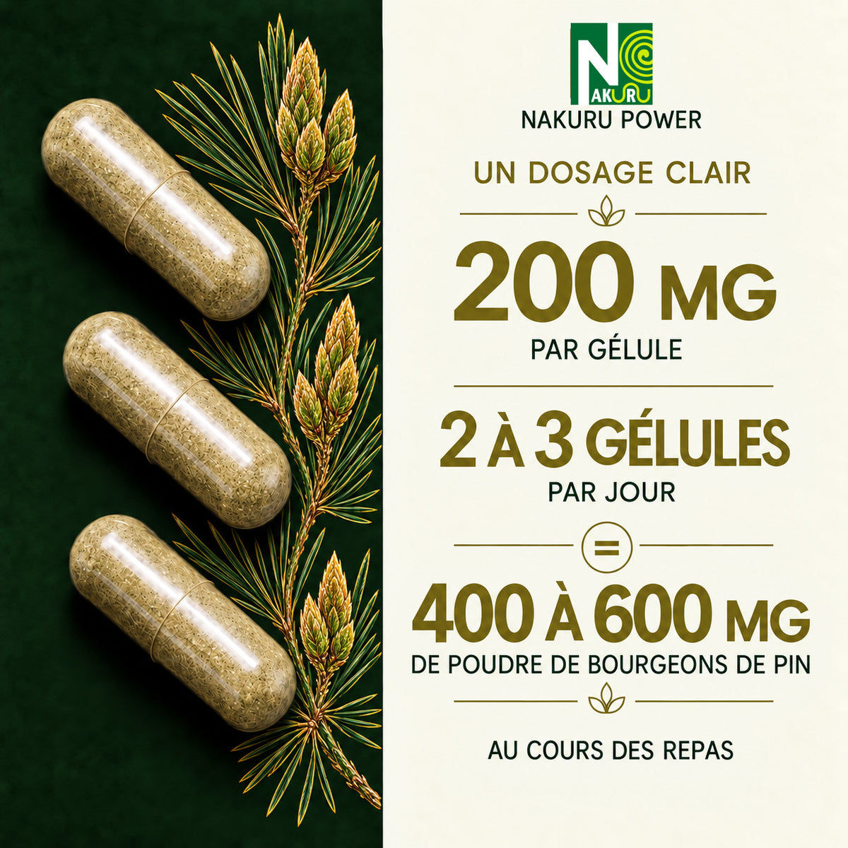 NAKURU Bourgeon de Pin — 500 gélules — Dosage