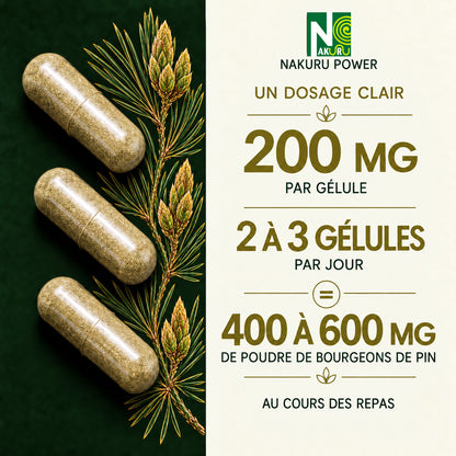 NAKURU Bourgeon de Pin — 500 gélules — Dosage