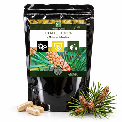 NAKURU Bourgeon de Pin — 500 gélules — Packshot