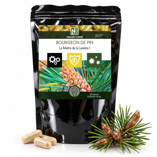 NAKURU Bourgeon de Pin — 500 gélules — Packshot